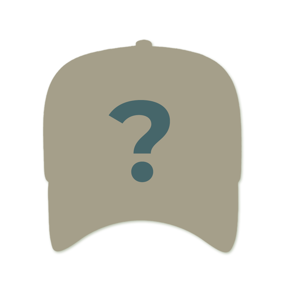 JD Mystery Hat